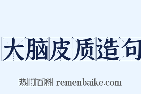 大脑皮质造句是什么意思的图片